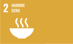 ODS 02 - HAMBRE CERO