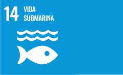 ODS 14 - VIDA SUBMARINA